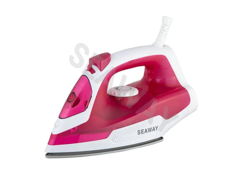 steam iron1
