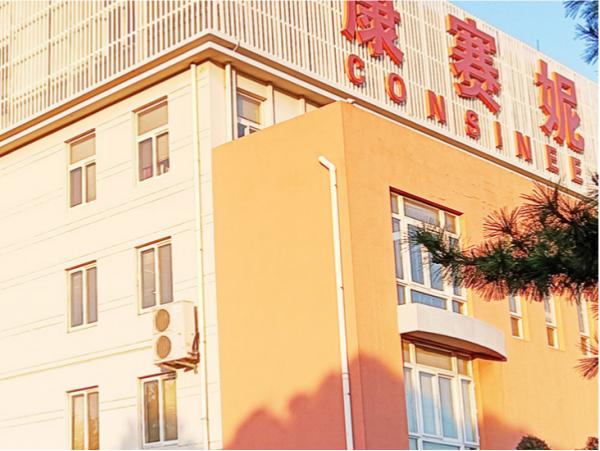 Consinee Group Co., Ltd.