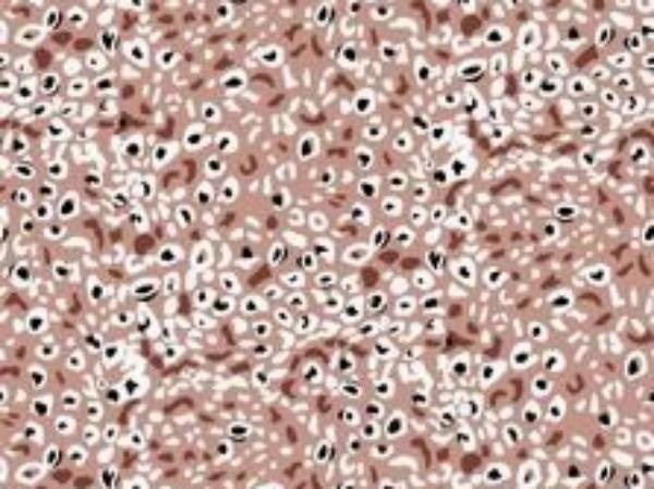 Rayon-Printed-Fabric.webp